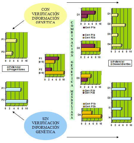 Diagrama de Venn de la composición multifuncional de la inteligencia con colores colores.
