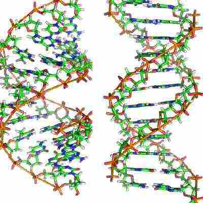 Ilustración de cadenas de ADN