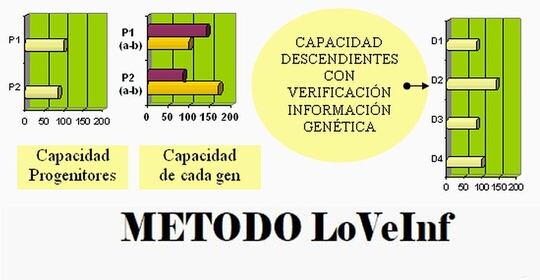 Esquema de la evolución de la inteligencia con genética mendeliana y método LoVeInf.