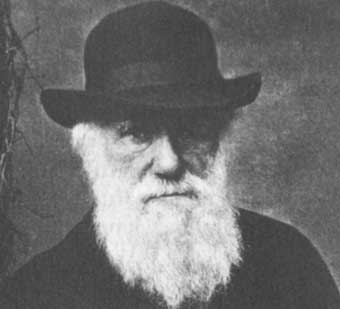 Charles Darwin (Public Domain)