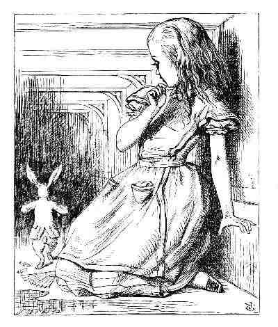 Alice and the Rabbit in Wonderland in black and white.