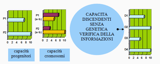 Diagramma di evoluzione con differenziazione sessuale, combinazione mendeliana e nessuna applicazione del metodo LoVeInf.